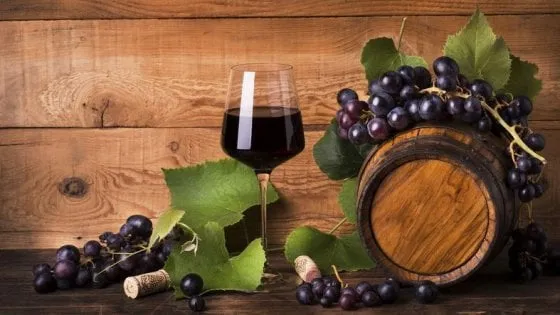 Qualità prima che quantità la filiera del vino un modello per l’agroalimentare made in Italy