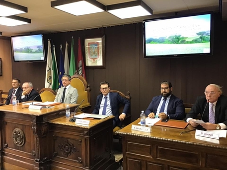 Alimentare: Camera commercio fa punto su mercato cereali