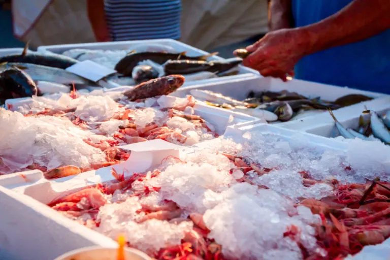 Mercato del pesce: orata, salmone e cozze i preferiti dagli italiani in pescheria. Ma il tonno in scatola batte tutti per importazioni