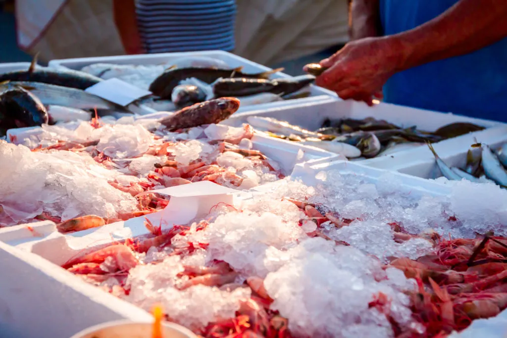 Mercato del pesce: orata, salmone e cozze i preferiti dagli italiani in pescheria. Ma il tonno in scatola batte tutti per importazioni