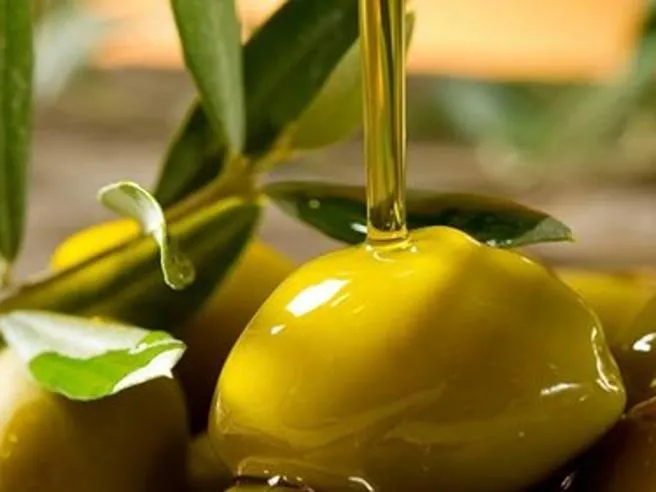 Olio, è l’anno del riscatto per il Made in Italy: produzione +89%. A trainare è il Sud