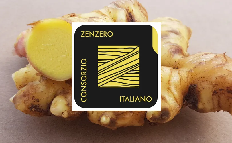 Nasce la prima filiera made in Italy dello zenzero. In commercio a marchio Valfrutta e Del Monte