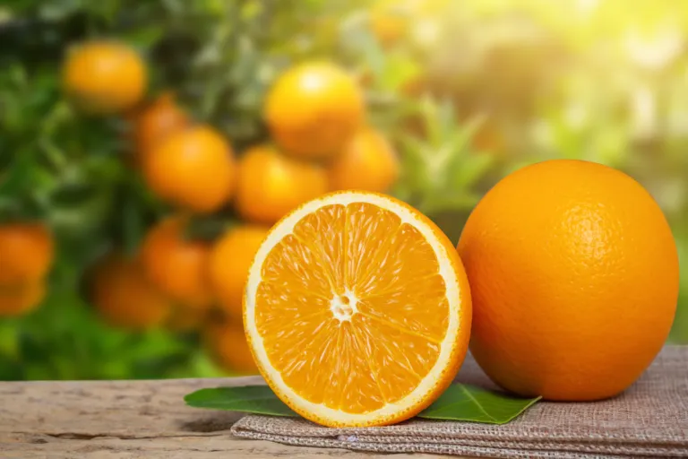 CRESCE L’ALIMENTARE AL SUD. ORA LA SCOMMESSA È SULL’EXPORT