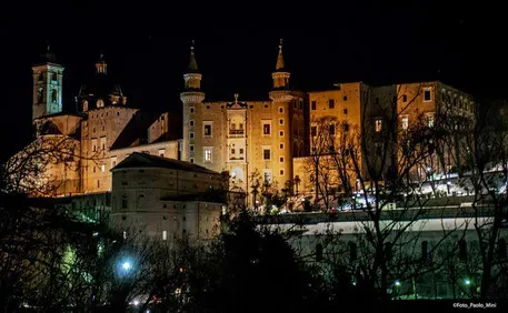 Raffaello: celebrazioni a Urbino, mostre e ciclo attività