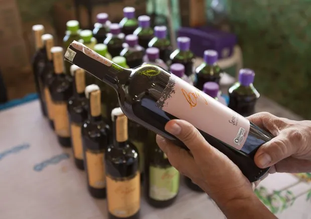 Con Organic trade fair alliance Veronafiere apre al bio