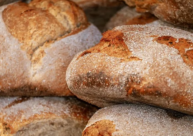 Un concorso nazionale per il “pane di Matera”