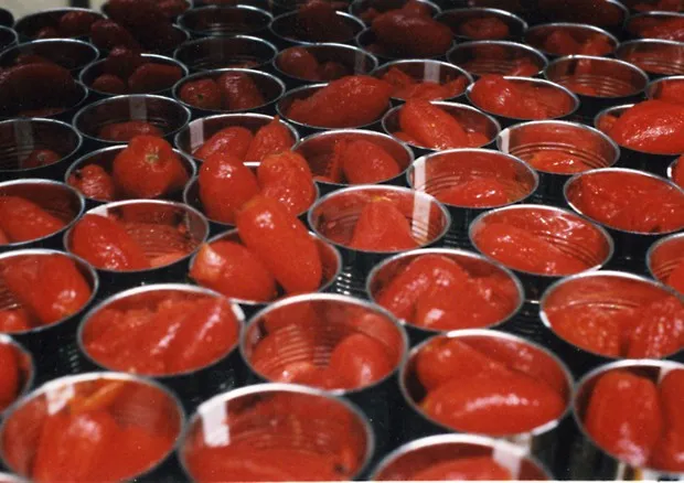 In 300 piazze torna il pomodoro buono di Fondazione Veronesi