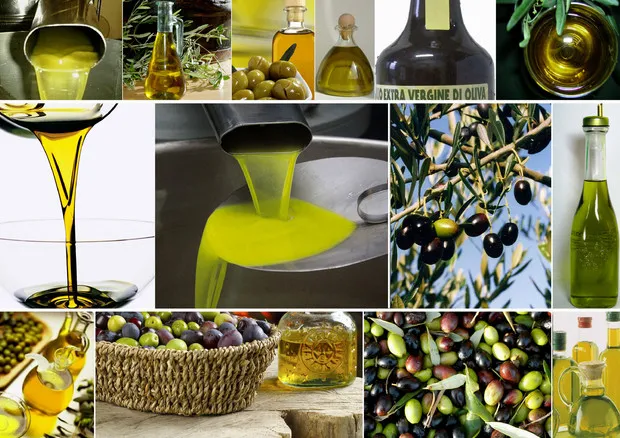 Olio: Ercole Olivario,i 20 finalisti in anteprima sui social