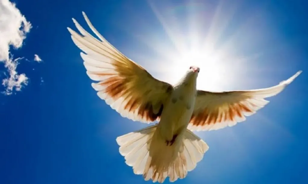 Annuncio per il giorno celebrazione dello Spirito Santo