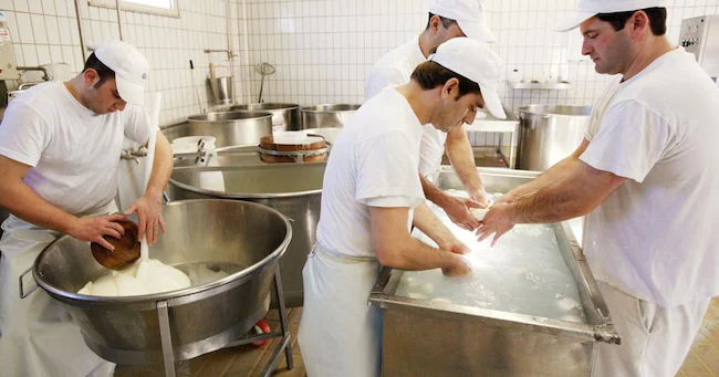 Mozzarella di bufala: da Dubai nuove frontiere per l’export. Focus sui millennials